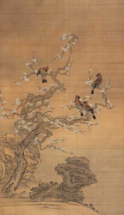 佚名 花鸟 立轴